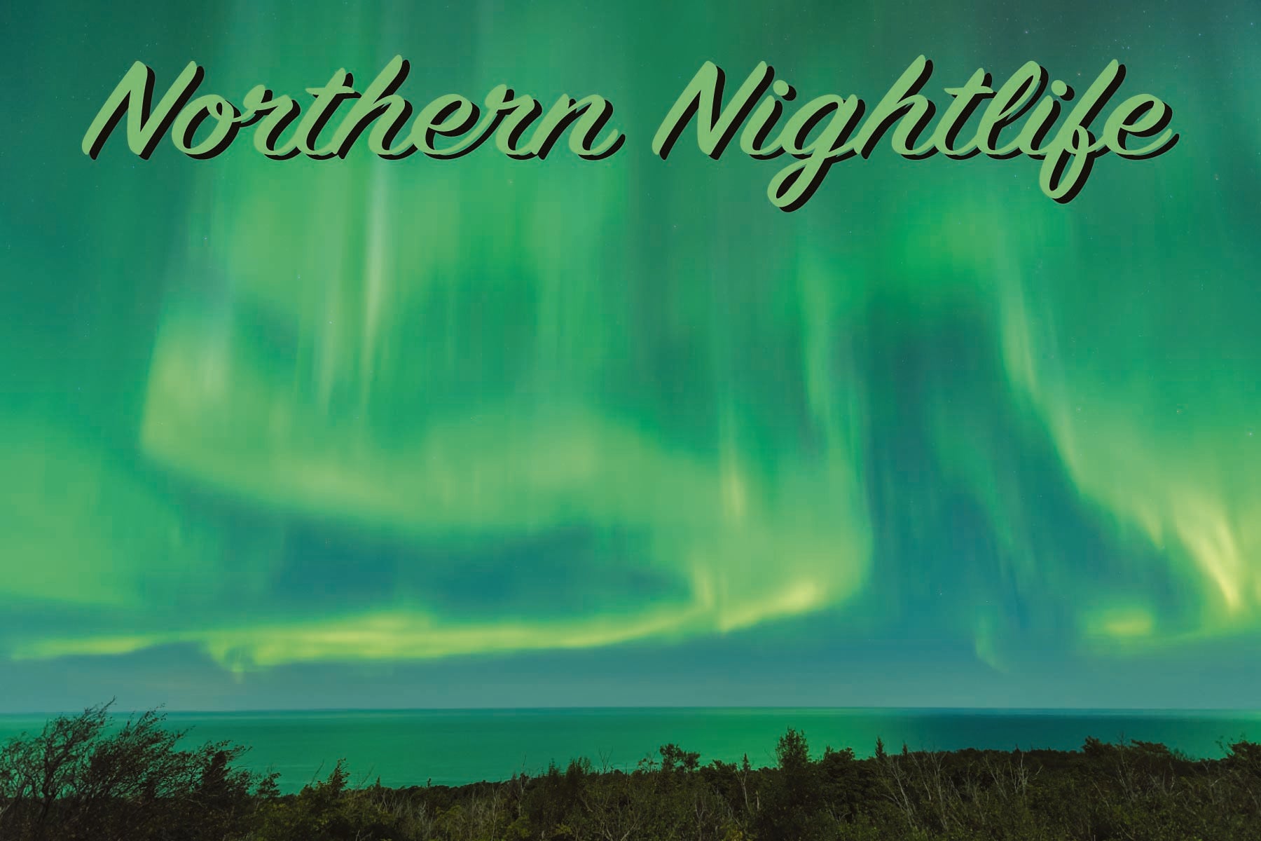 NORTHERN NIGHTLIFE - 4"x6" Postcard