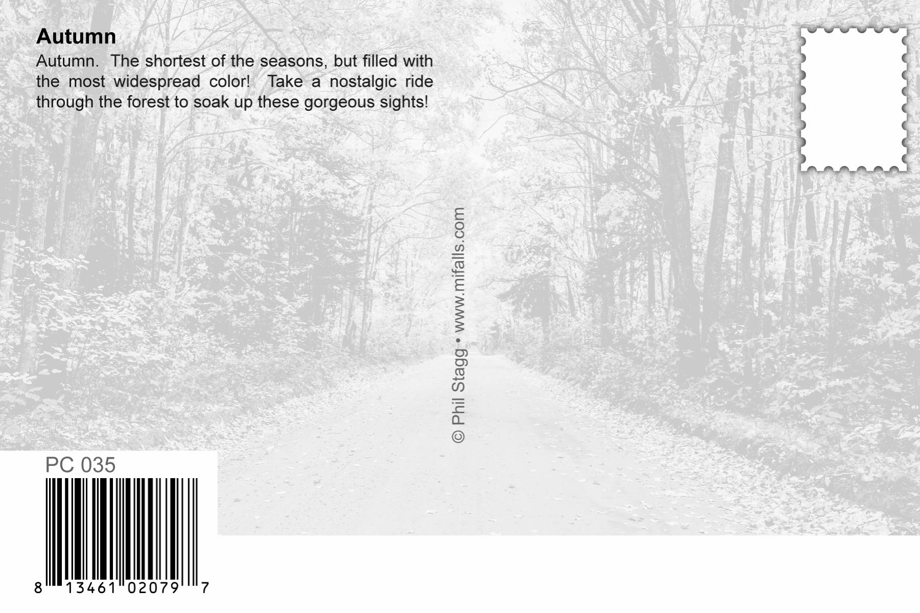 Image of AUTUMN - 4