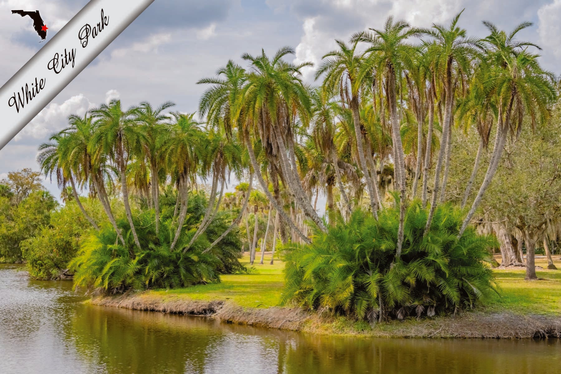 WHITE CITY PARK - 4"x6" Quality Florida Postcard
