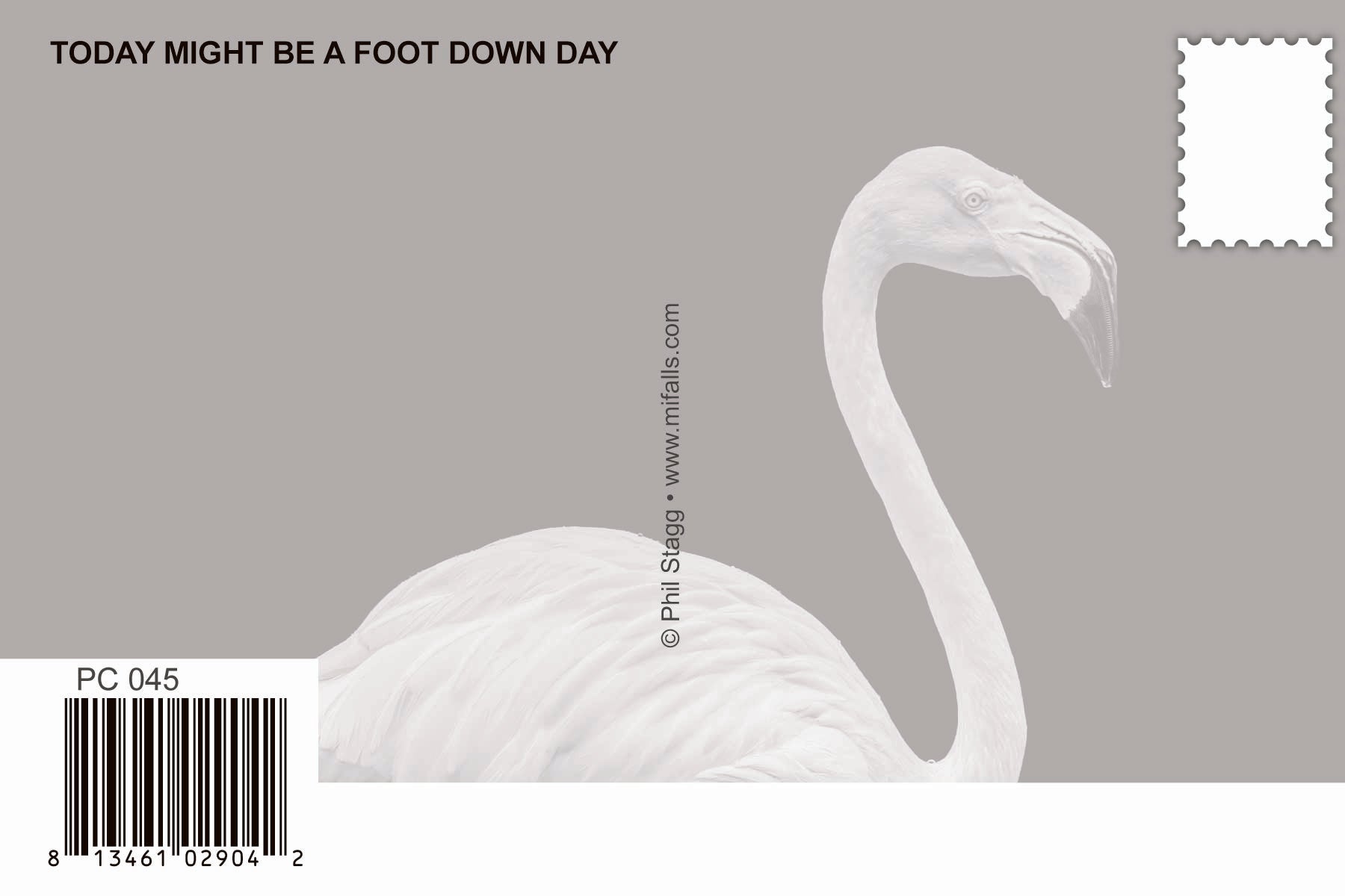 Image of FLAMINGO - PUT MY FOOT DOWN - 4