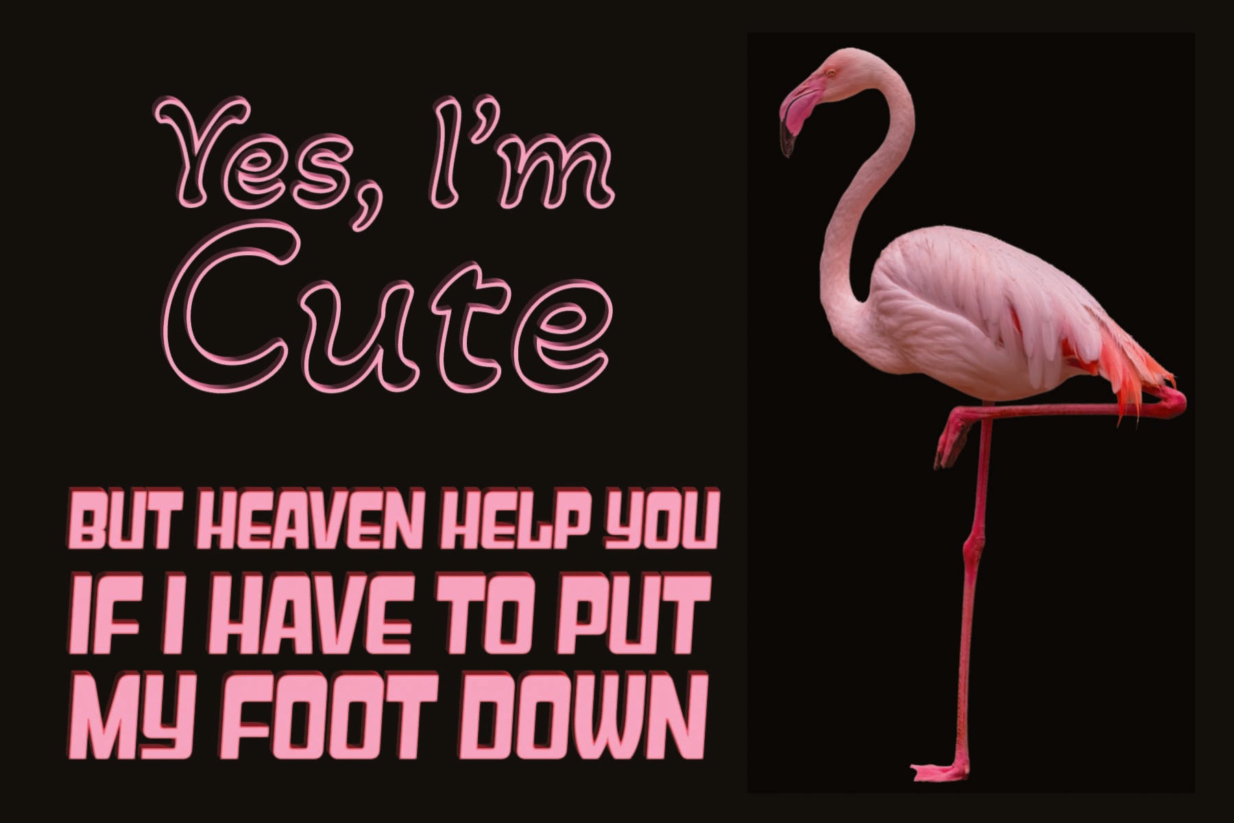 Image of FLAMINGO - PUT MY FOOT DOWN - 4