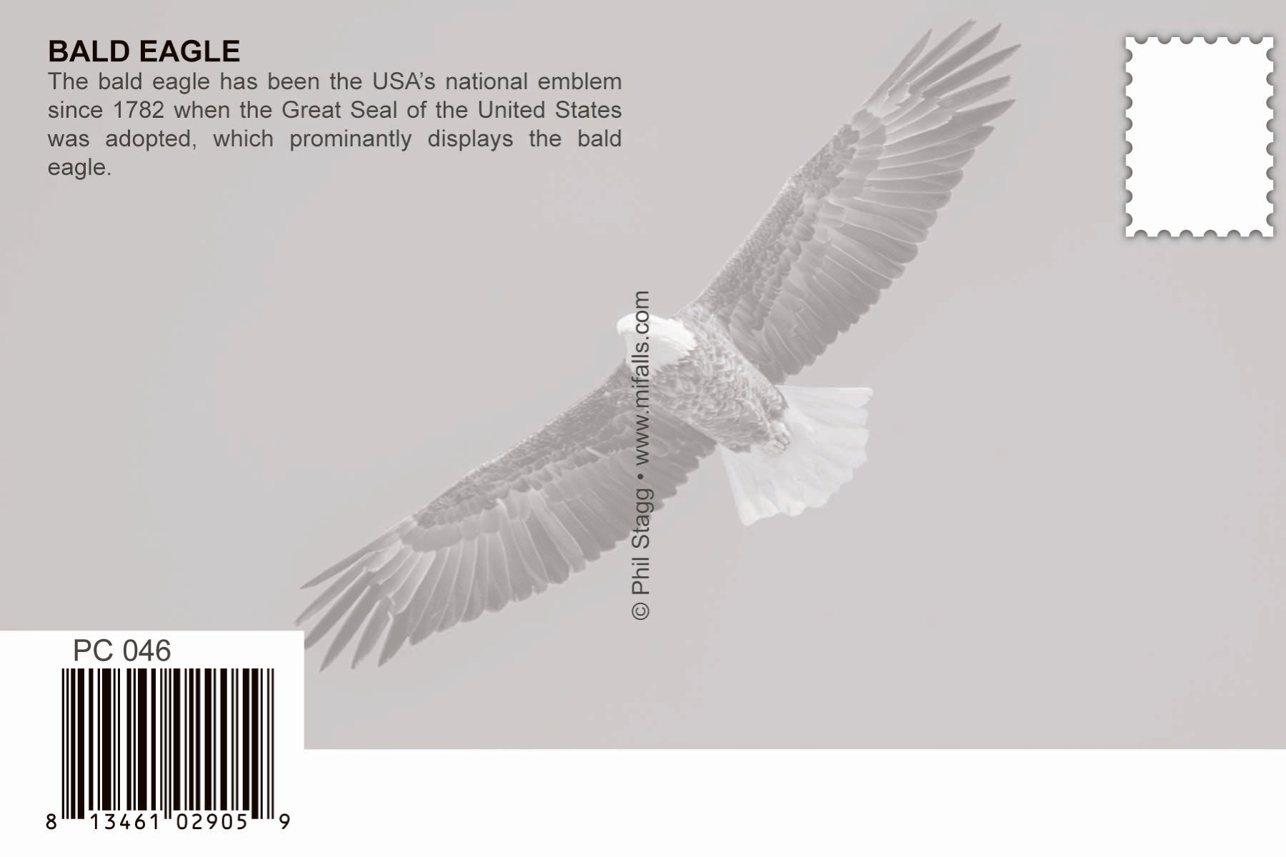 Image of USA - BALD EAGLE - 4