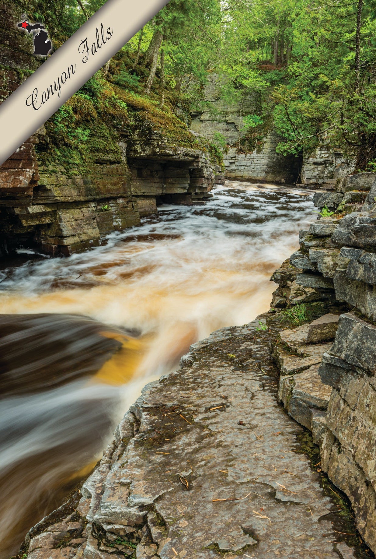 Canyon Falls - Postcard