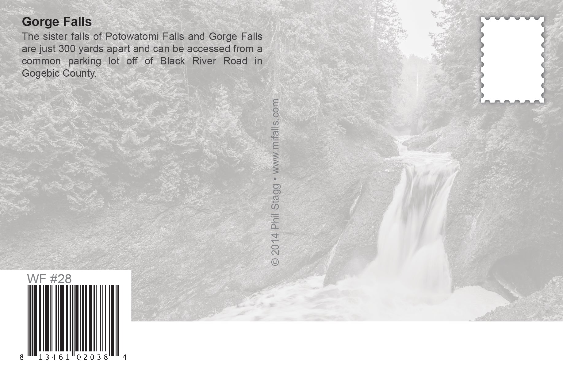 GORGE FALLS - 4"x6" Postcard