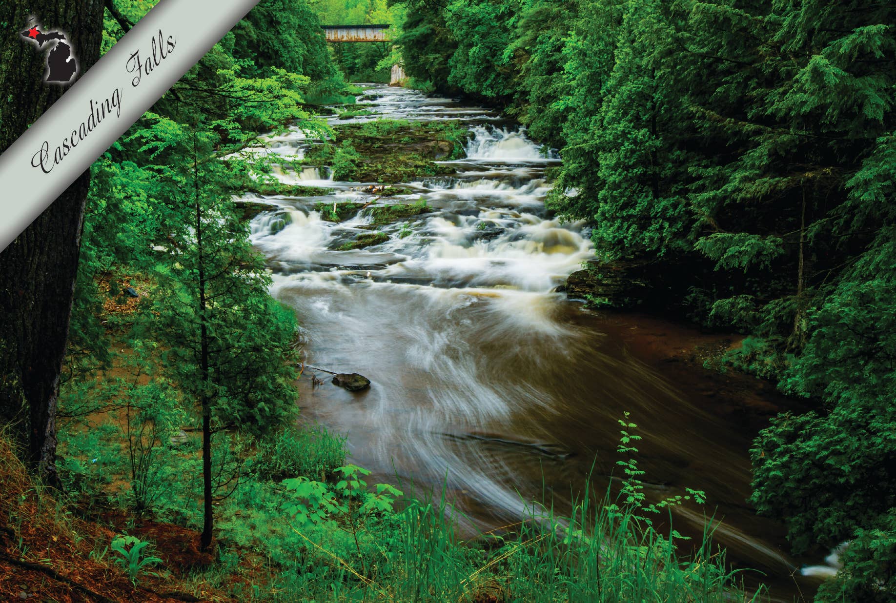 Cascading Falls | Postcard