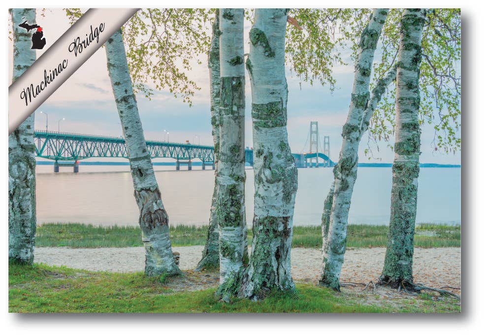Image of MACKINAC BRIDGE - VIEW OF TREES - Michigan Postcard