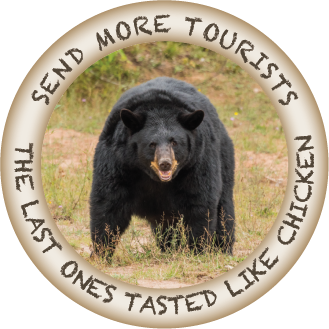 SEND MORE TOURISTS | 2.25" BUTTON MAGNET