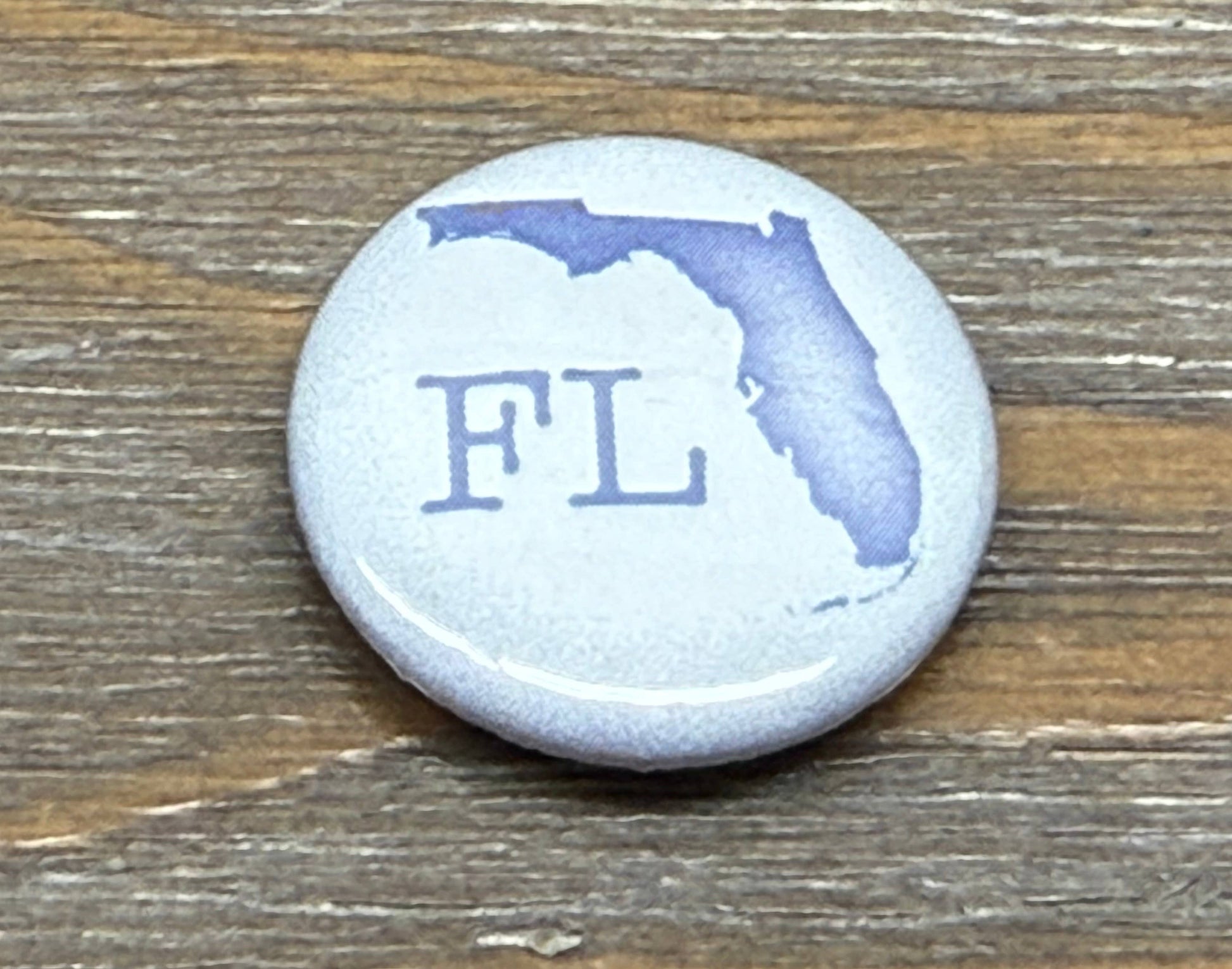 FLORIDA PINS - STATE OUTLINE w/FL