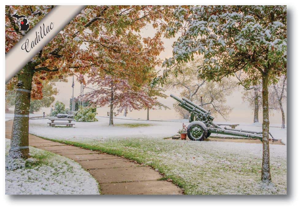 Image of THE VETERANS' MEMORIAL - Cadillac Michigan Postcard