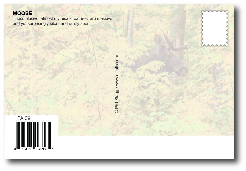 MOOSE - Generic Postcard