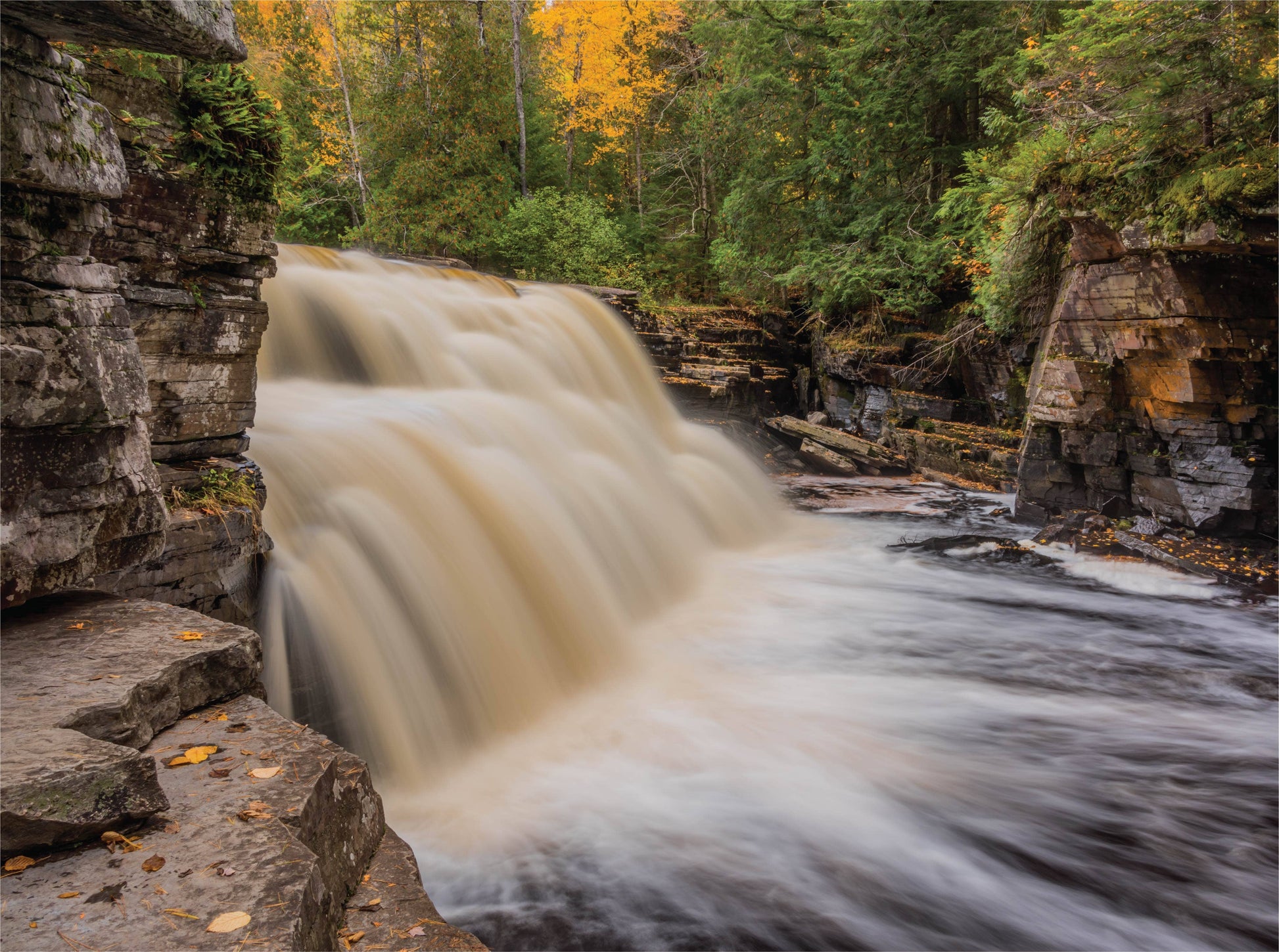 Canyon Falls - 1000 Piece Jigsaw Puzzle - Michigan, USA