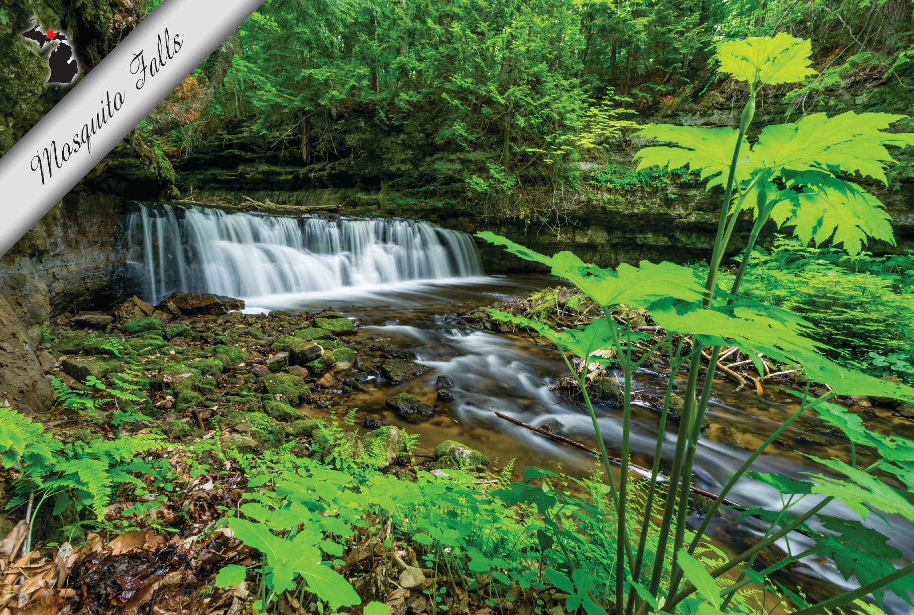Mosquito Falls | Postcard