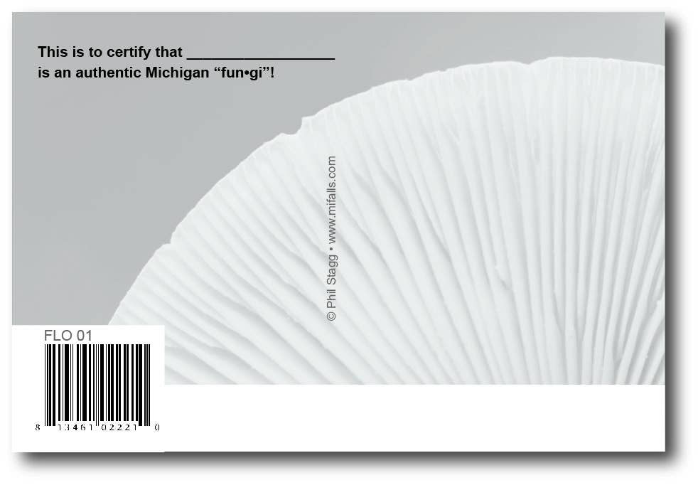 Image of Michigan fun•gi - Michigan Postcard