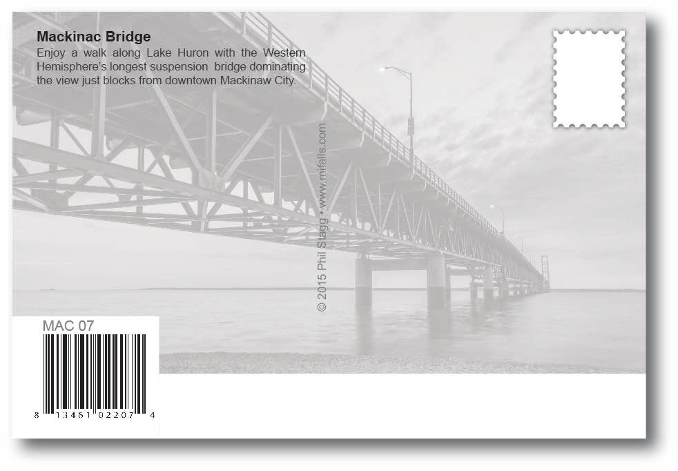 MACKINAC BRIDGE - VIEW OF TREES - Michigan Postcard
