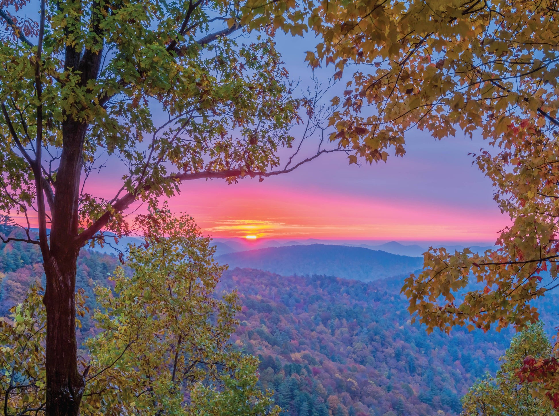 The Sunrise - 1000 Piece Puzzle