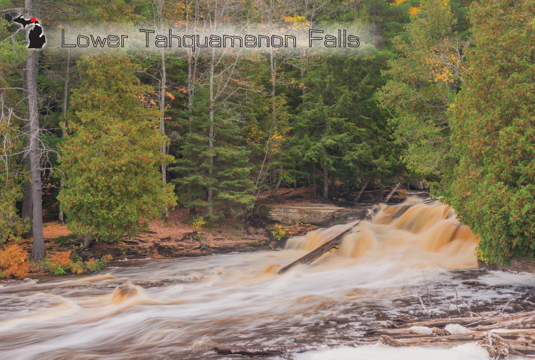 Tahquamenon Falls | Postcard