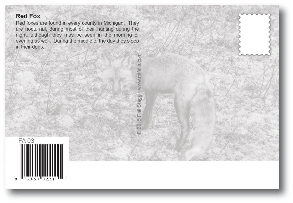 Image of RED FOX - Michigan Postcard
