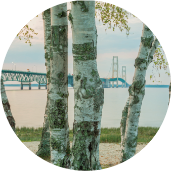 Image of MACKINAC BRIDGE | 2.25