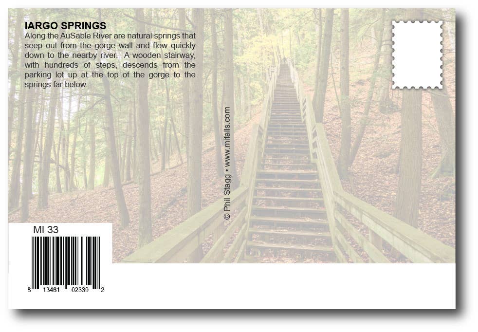 Image of IARGO SPRINGS - Michigan Postcard