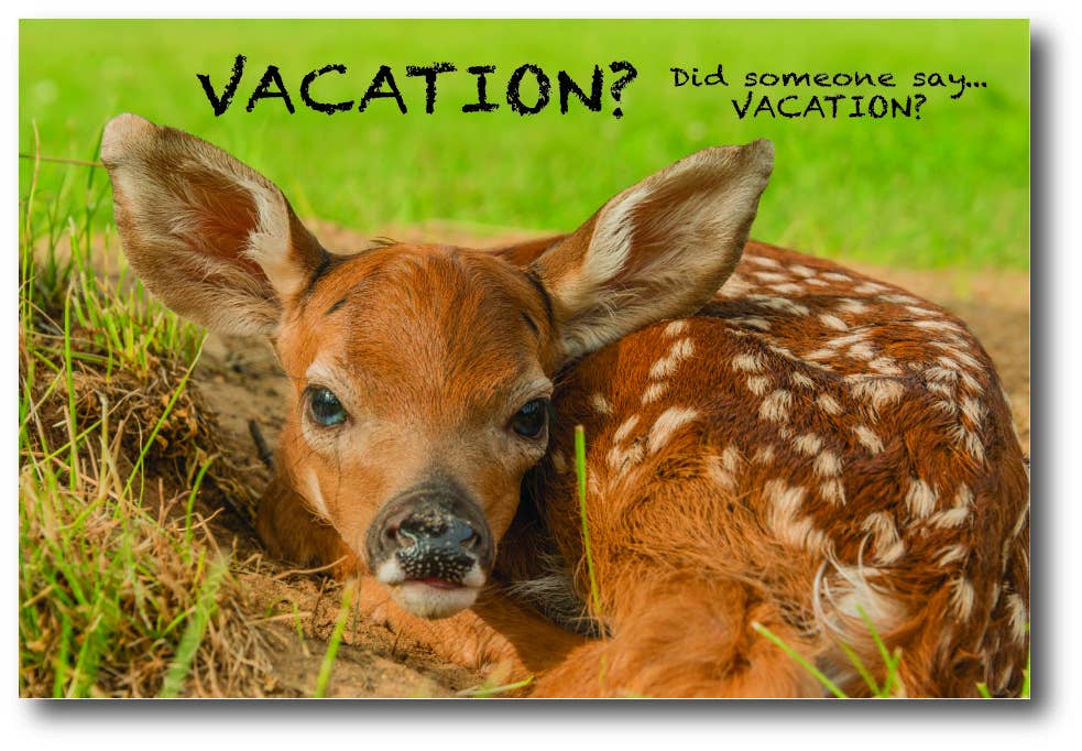 VACATION - Generic Postcard