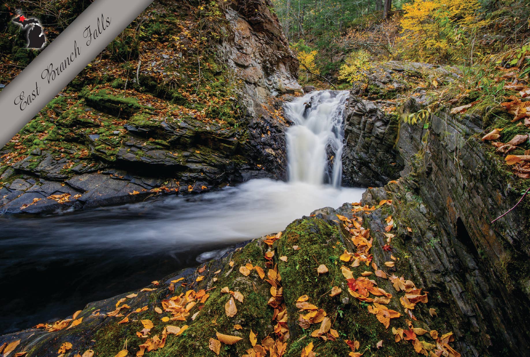 East Branch Falls | Postcard