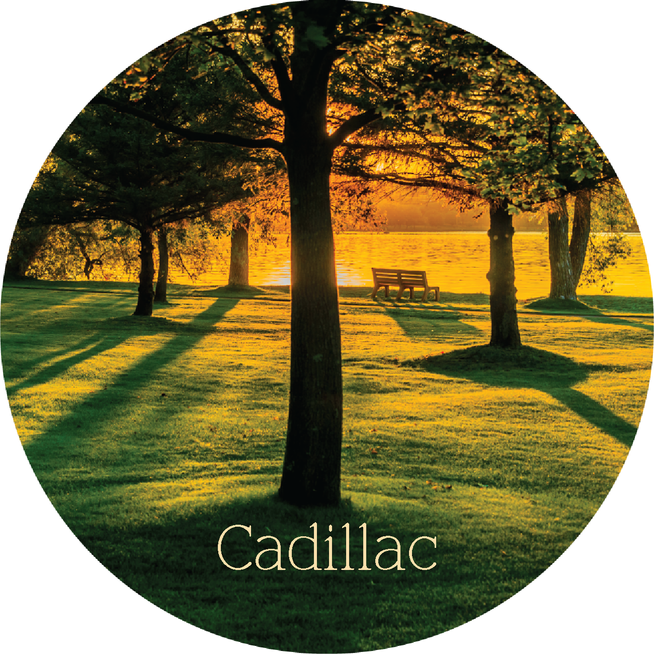 CADILLAC CITY PARK - FLEXIBLE MAGNET