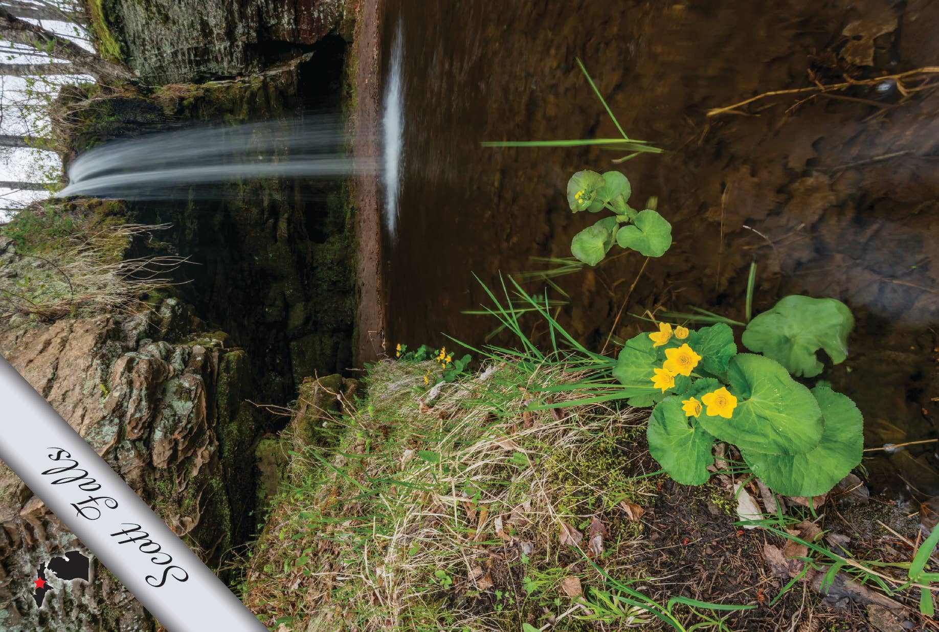 Scott Falls | Postcard