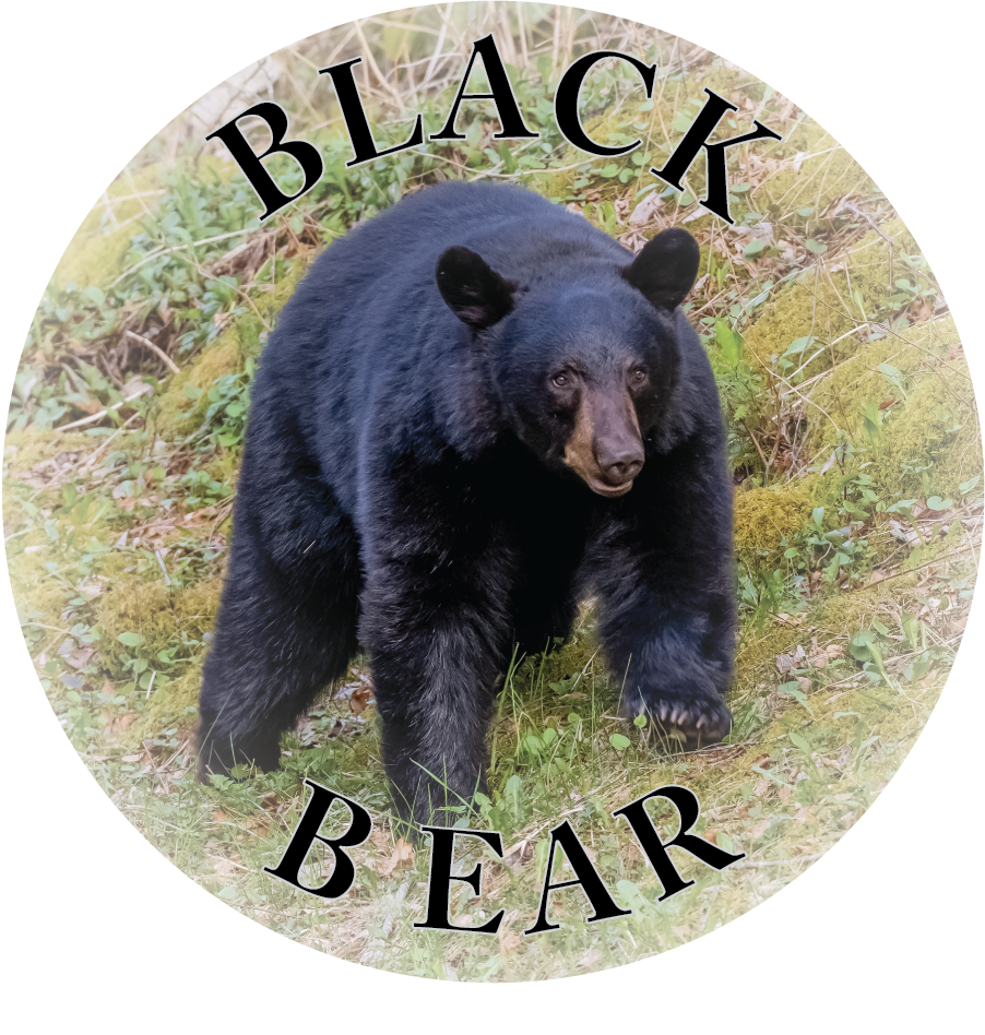 Image of BLACK BEAR - FLEXIBLE MAGNET