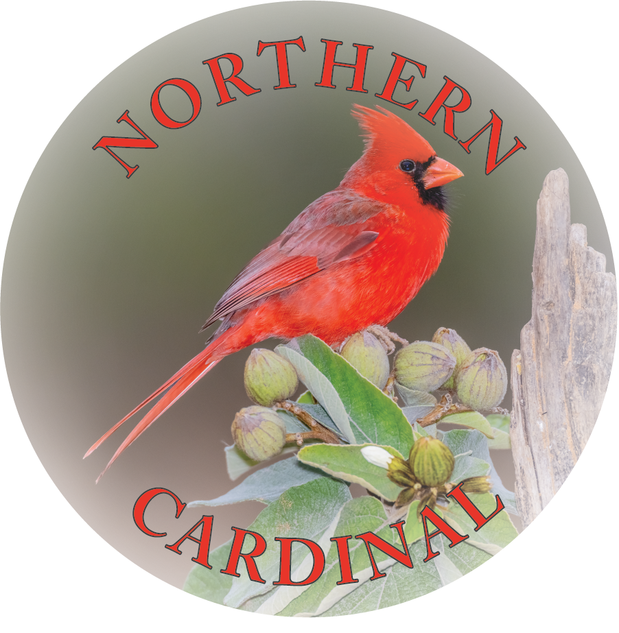 NORTHERN CARDINAL - FLEXIBLE MAGNET