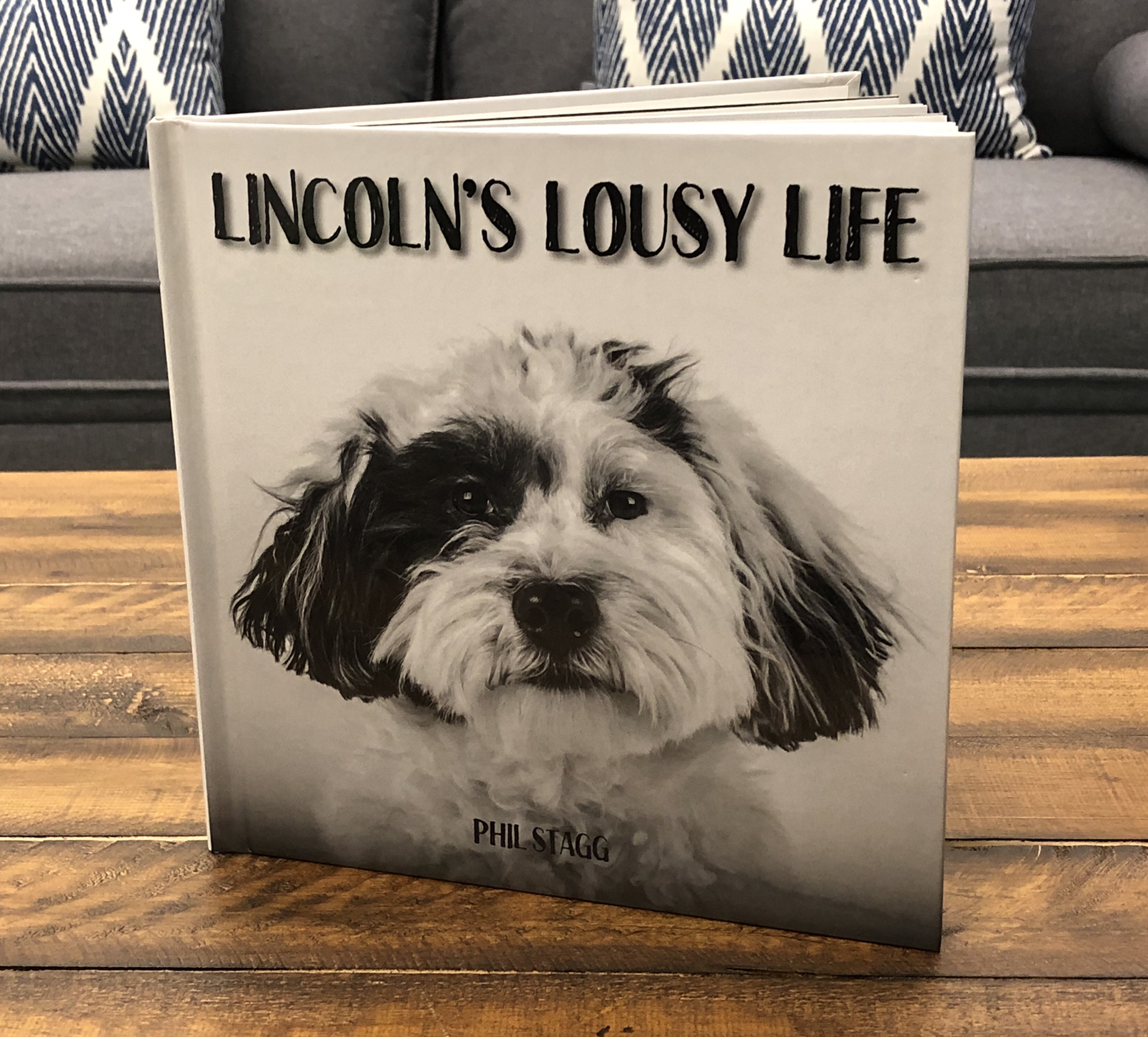 Lincoln's Lousy Life - Children's Book
