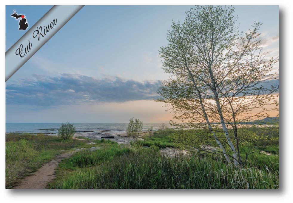 Image of CUT RIVER - Michigan Postcard