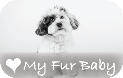 LOVE MY FUR BABY | RECTANGULAR BUTTON MAGNET