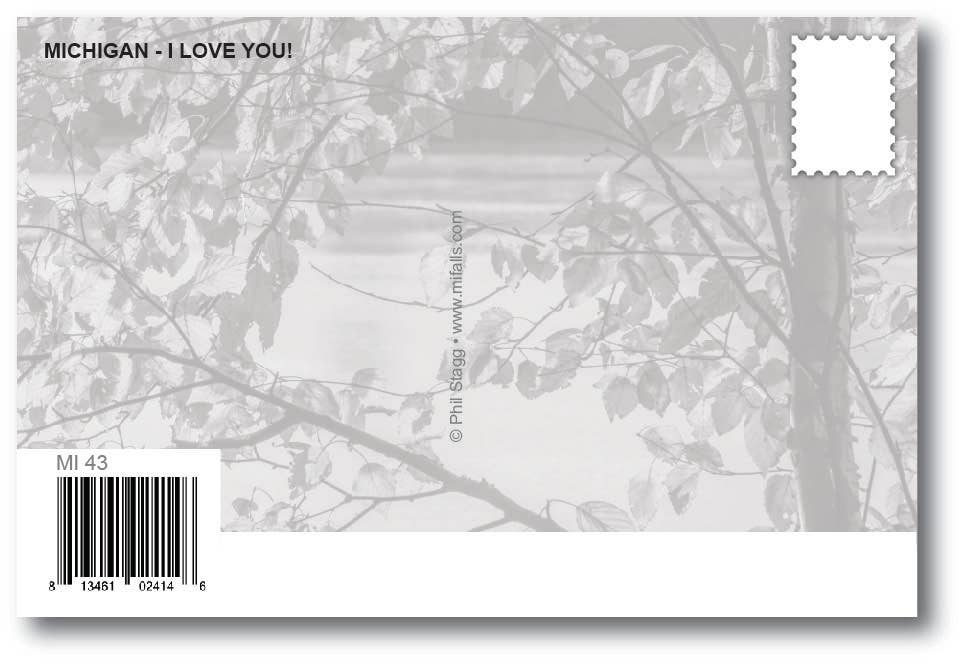 AUTUMN LEAVES NO DOUBT - Michigan Postcard