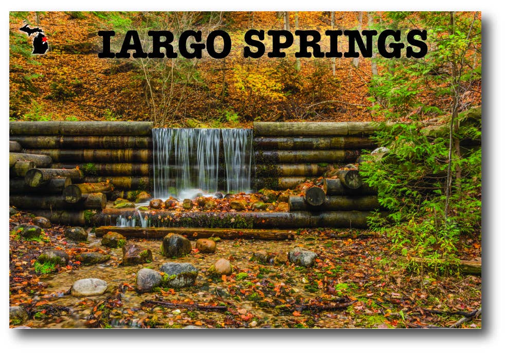 IARGO SPRINGS - Michigan Postcard