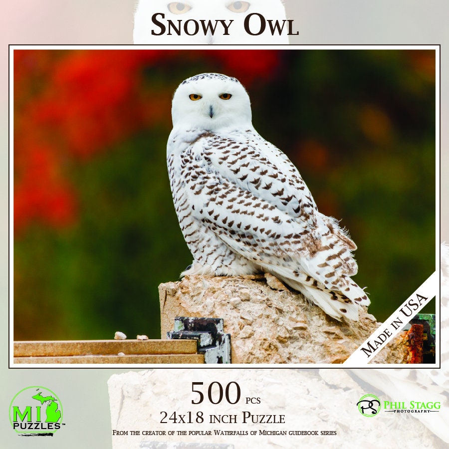Snowy Owl - 500 Piece Jigsaw Puzzle - MI Puzzles by Phil Stagg Photography