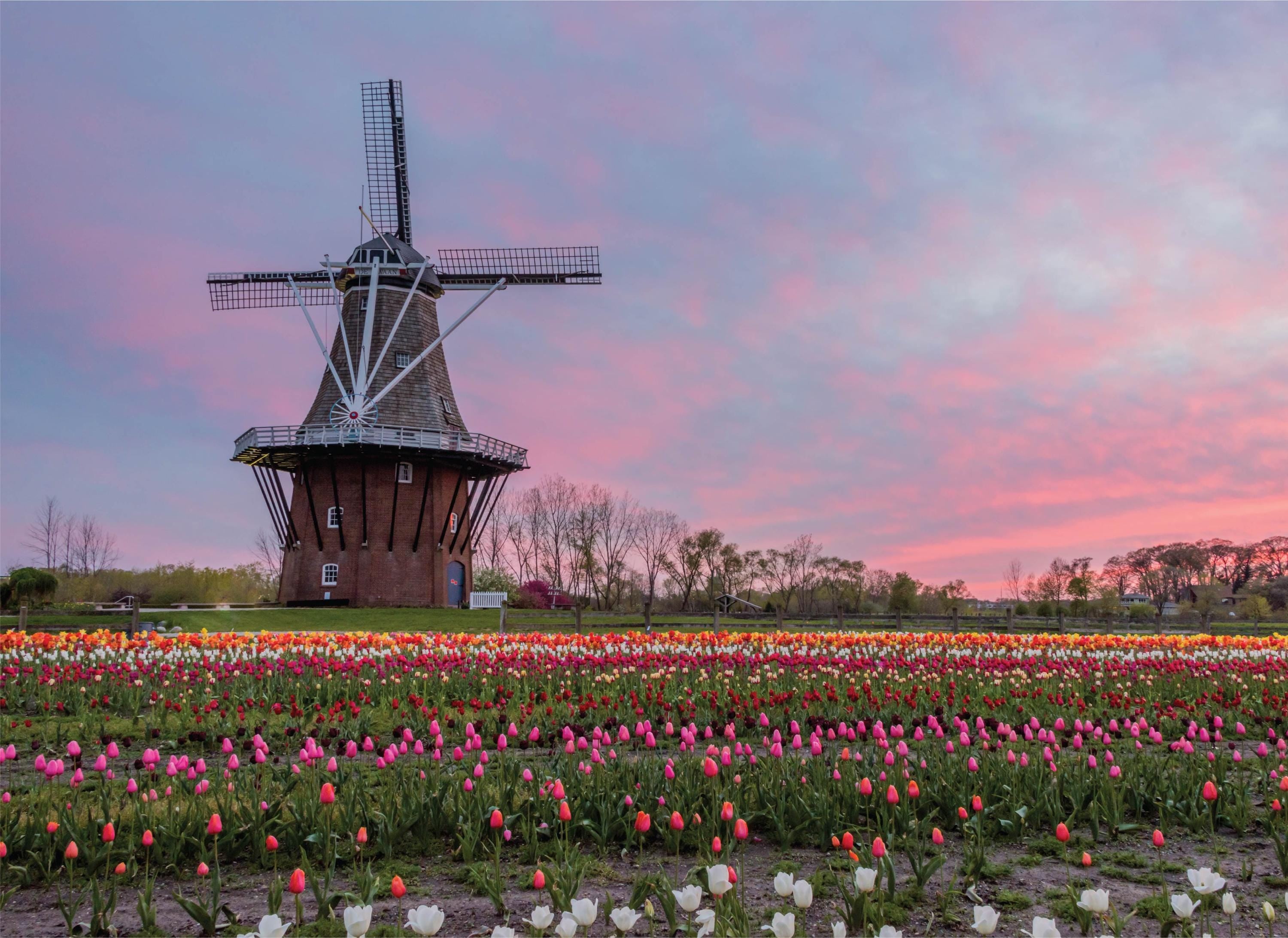Image of De Zwaan - Windmill - 1000 Piece Jigsaw Puzzle - MI Puzzles by Phil Stagg Photography