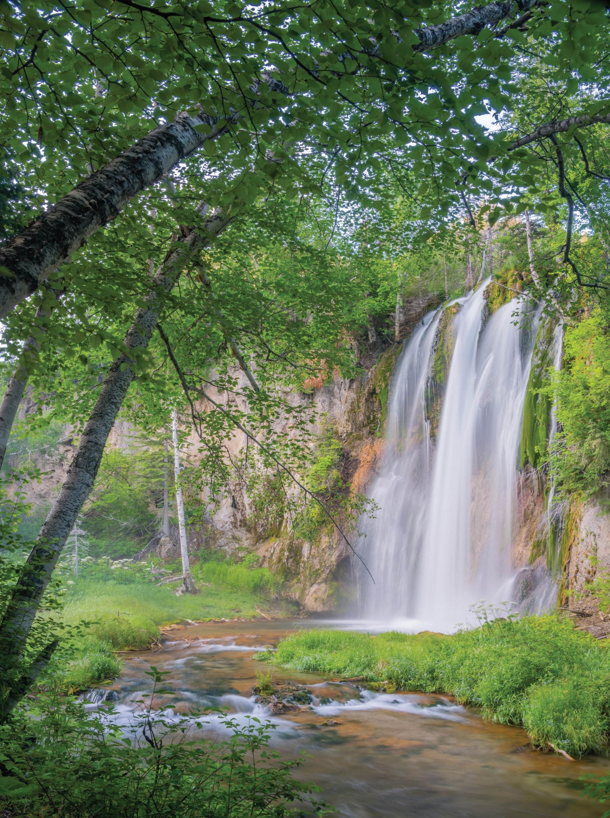Spearfish Falls - 1000 Piece Jigsaw Puzzle - MI Puzzles by Phil Stagg Photography