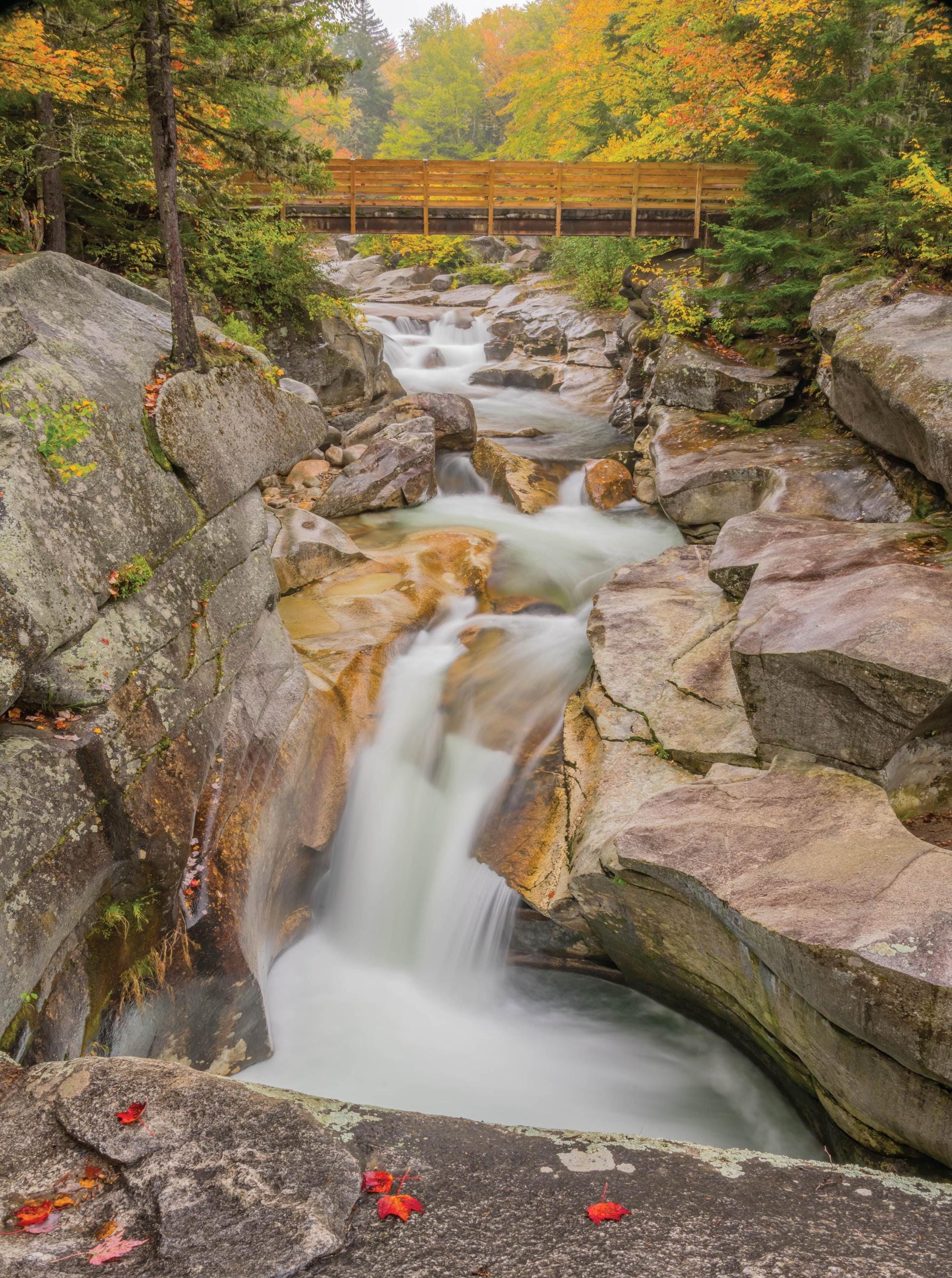 Upper Falls - 1000 Piece Jigsaw Puzzle - MI Puzzles by Phil Stagg Photography