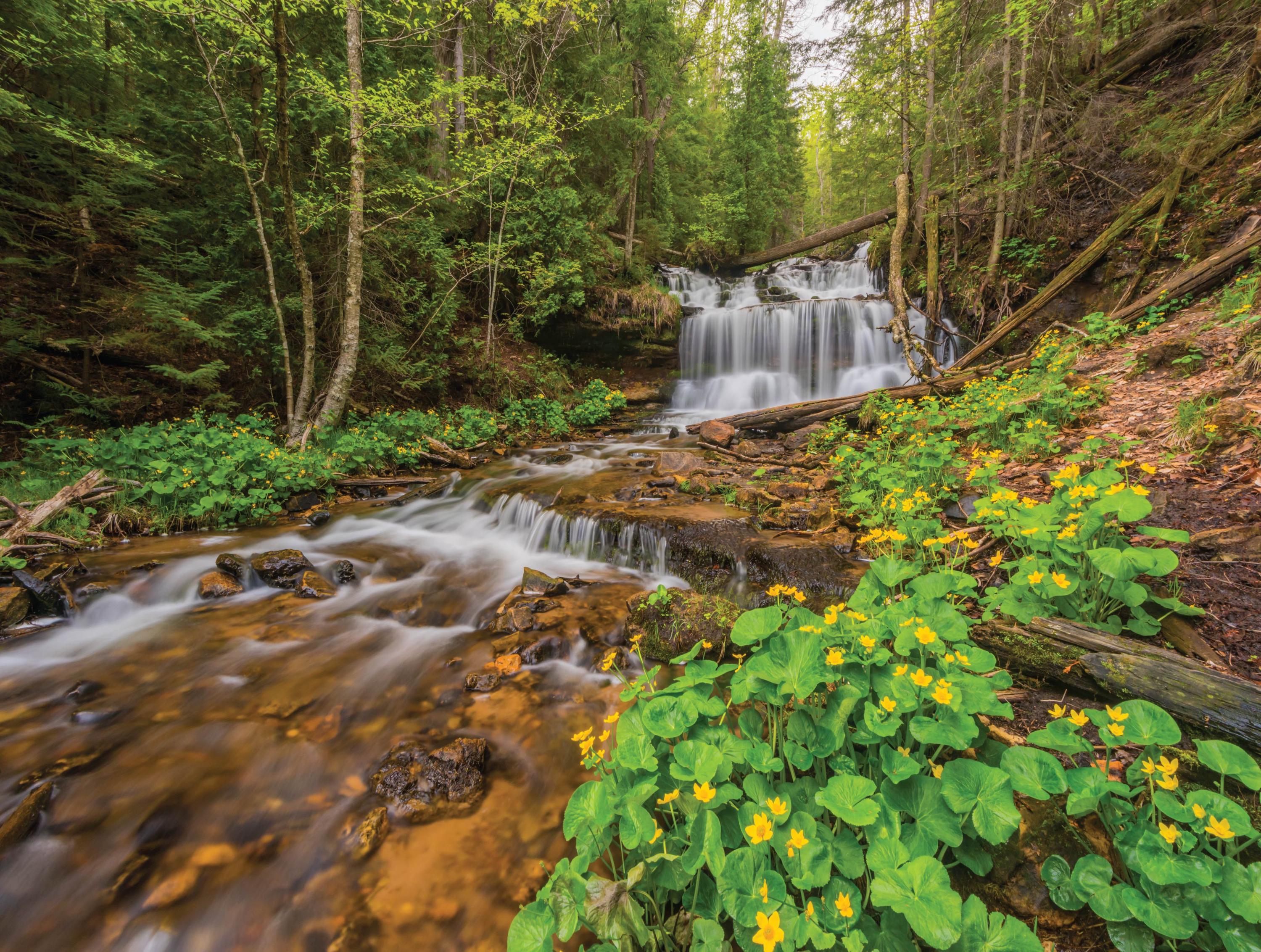 Image of Wagner Falls - 500 Piece Jigsaw Puzzle - MI Puzzles by Phil Stagg Photography