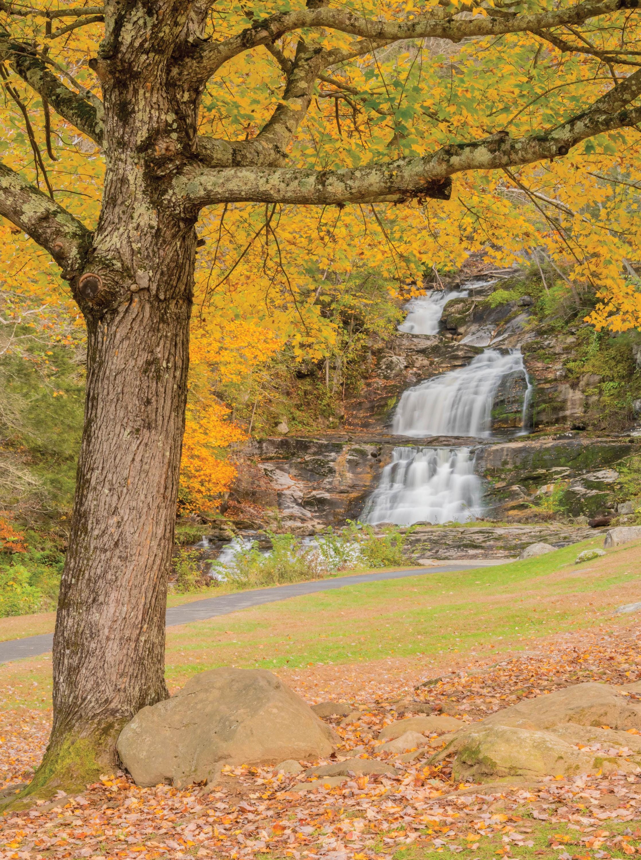 Image of Kent Falls - 1000 Piece Jigsaw Puzzle - MI Puzzles by Phil Stagg Photography