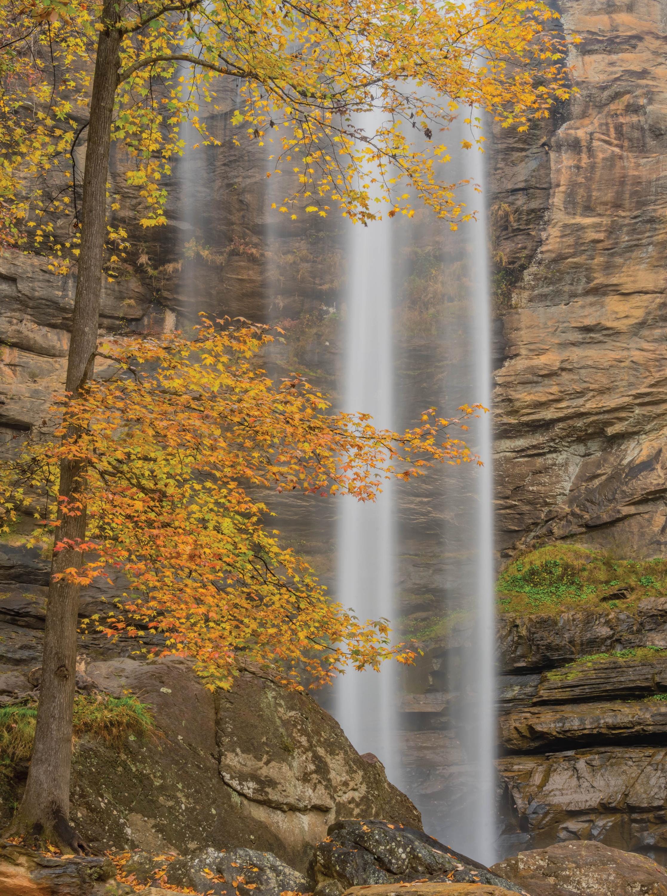 Image of Toccoa Falls - 1000 Piece Jigsaw Puzzle - MI Puzzles by Phil Stagg Photography