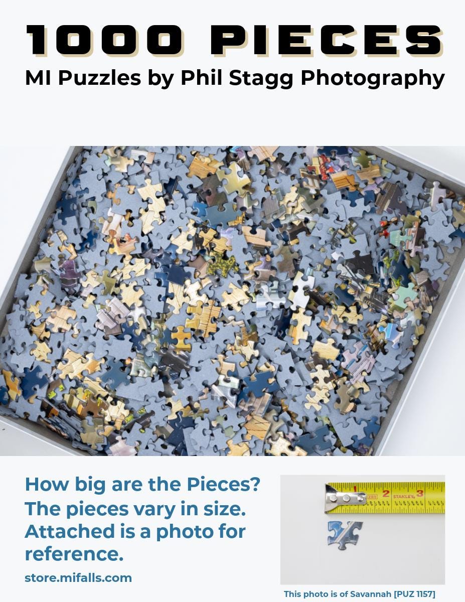 Image of North Pier Red Light - 1000 Piece Jigsaw Puzzle - MI Puzzles by Phil Stagg Photography