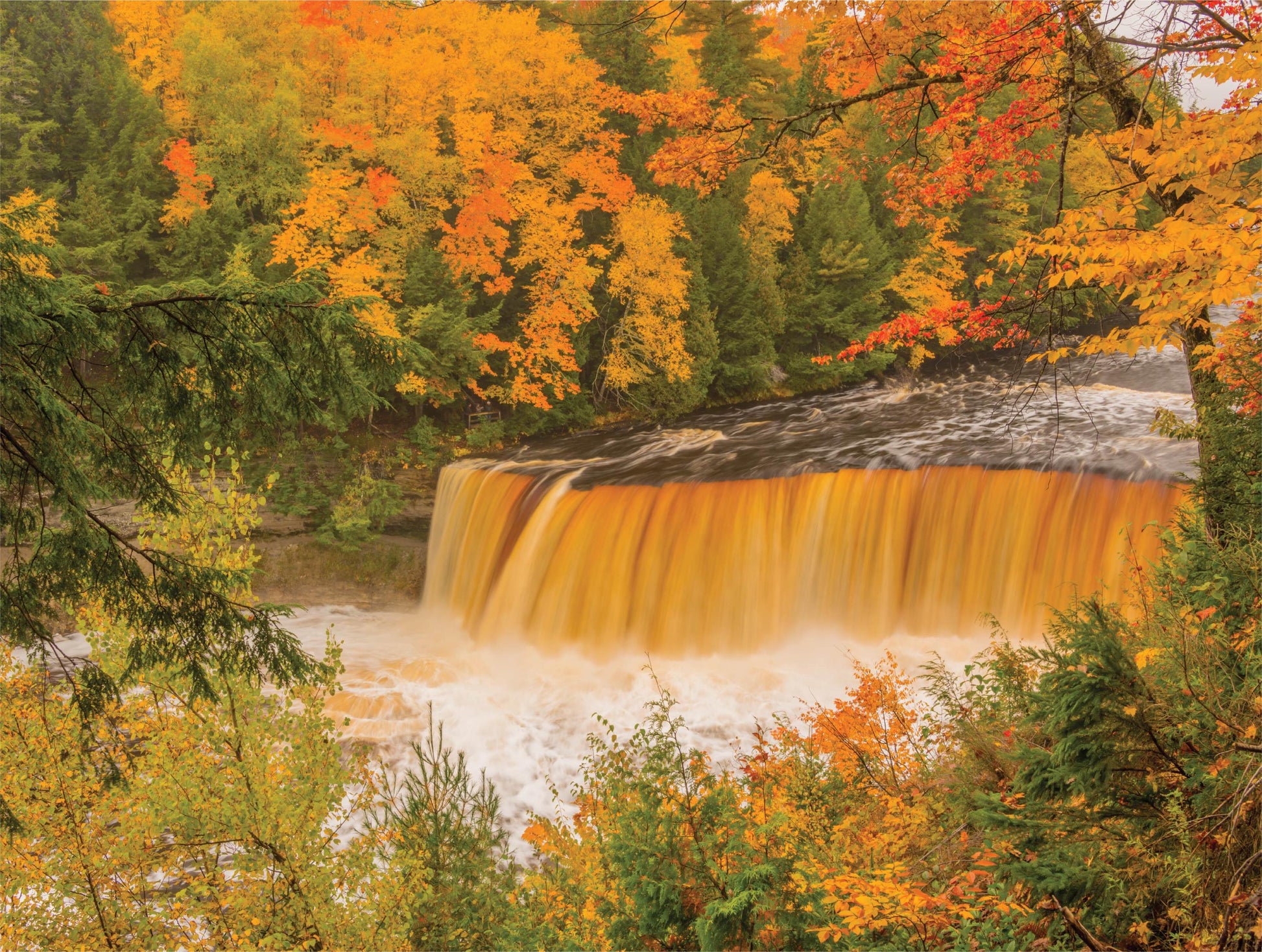 Tahquamenon Falls - Autumn - 500 Piece Jigsaw Puzzle - MI Puzzles by Phil Stagg Photography